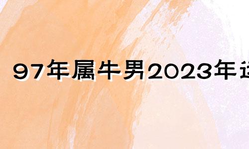 97年属牛男2023年运势 1997年属牛2023年运势及运程男