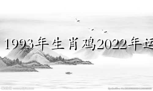 1993年生肖鸡2022年运势 1993年属鸡的2022年的运怎么样