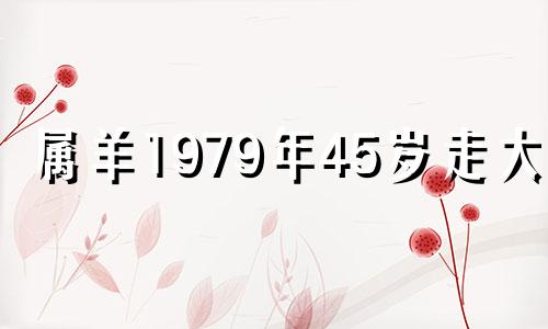 属羊1979年45岁走大运 79年属羊人2024年全年运势详解