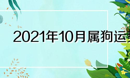 2021年10月属狗运势 2021年10月份属狗的运势