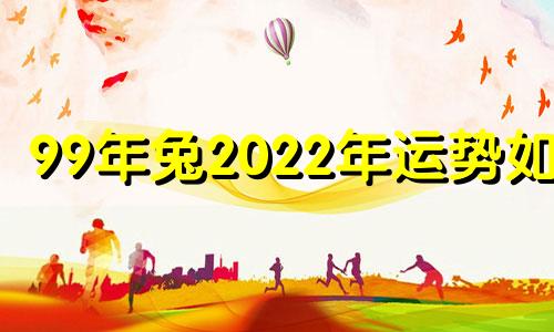 99年兔2022年运势如何 99年属兔2022年运势及运程每月运程