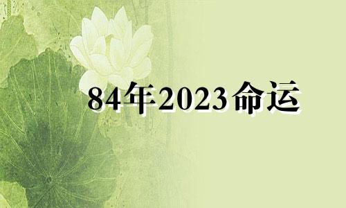 84年2023命运 84年鼠2023年每月运势如何详细