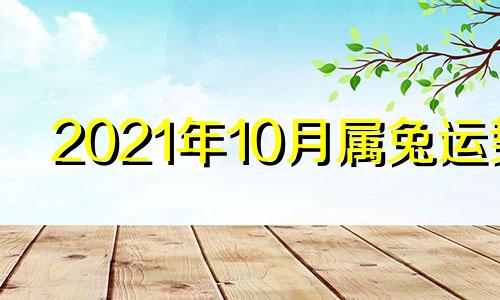 2021年10月属兔运势 2021年10月份属兔运势