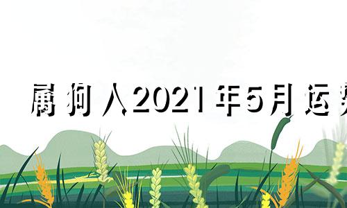 属狗人2021年5月运势 属狗人2021年5月份财运