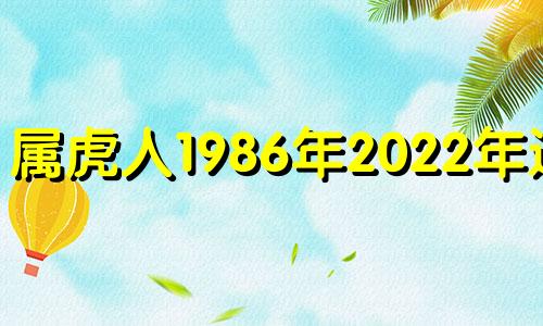 属虎人1986年2022年运势 1986属虎2022年的运势及运程