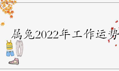 属兔2022年工作运势 属兔今年工作运势