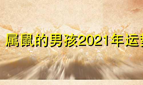 属鼠的男孩2021年运势 2022年属鼠的学业怎么样