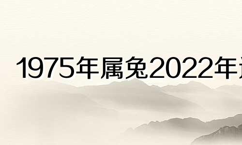 1975年属兔2022年运势 整体运势平稳