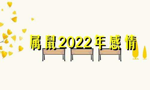 属鼠2022年感情 属鼠人2021年爱情