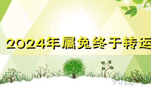 2024年属兔终于转运了 属兔的人在2023年的运势是如何?