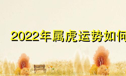 2022年属虎运势如何 2022 年属虎运势