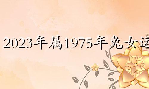 2023年属1975年兔女运程 贵人相助事业顺利