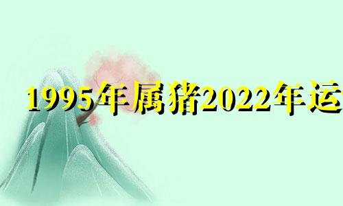 1995年属猪2022年运势 吉星