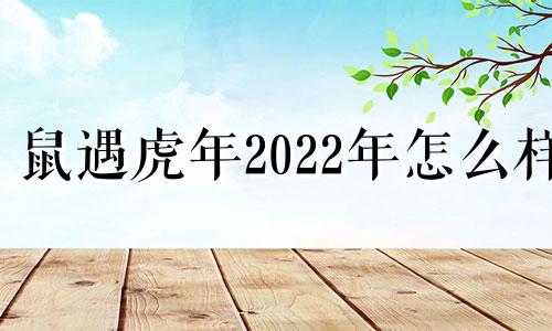 鼠遇虎年2022年怎么样 鼠人遇虎年运势如何