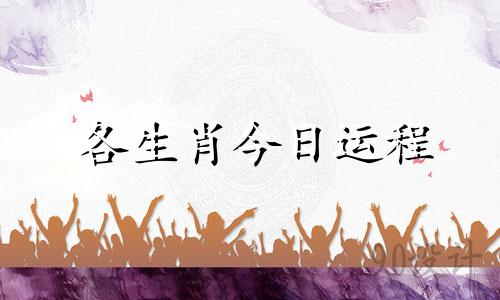 各生肖今日运程 生肖今日运势查询运时点