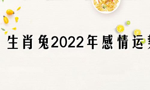 生肖兔2022年感情运势 2021年兔的感情运势