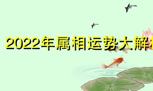 2022年属相运势大解析 2921年属相运势