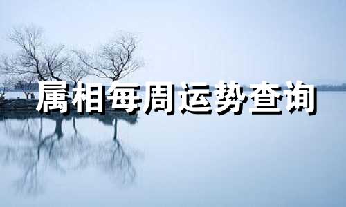 属相每周运势查询 属相运势查询每日更新