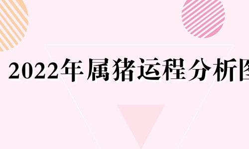 2022年属猪运程分析图 2022年属猪人的运势