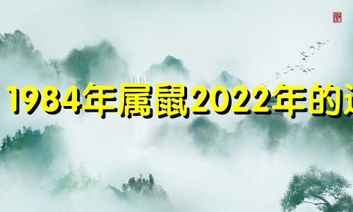 1984年属鼠2022年的运势 19842022年属鼠人的全年运势