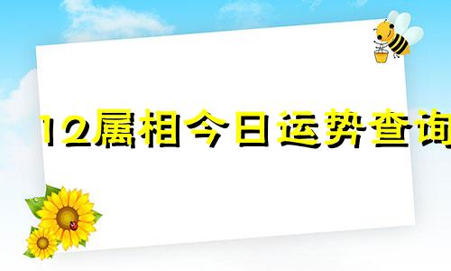 12属相今日运势查询 十二12生肖的今日财运