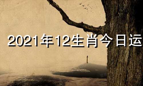 2021年12生肖今日运势 今日生肖每日运程