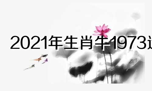 2021年生肖牛1973运势 2022年牛年运势1973年的人运势