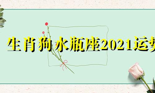 生肖狗水瓶座2021运势 2020属狗水瓶座的运势和财运