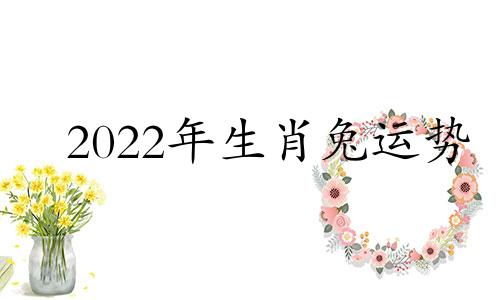 2022年生肖兔运势 手机搜狐