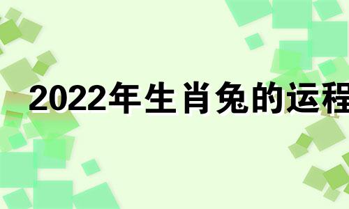 2022年生肖兔的运程 生肖兔2022年运势及每月运势