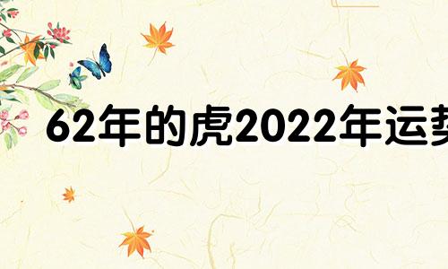 62年的虎2022年运势 62年虎2021年运势查易经