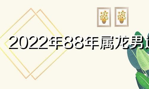 2022年88年属龙男运势 2021年88年龙男运势