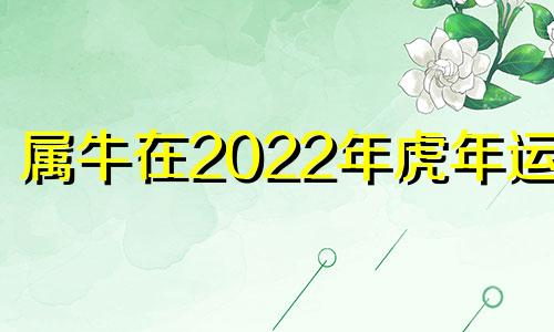 属牛在2022年虎年运势 属牛虎2021年全年运势详解