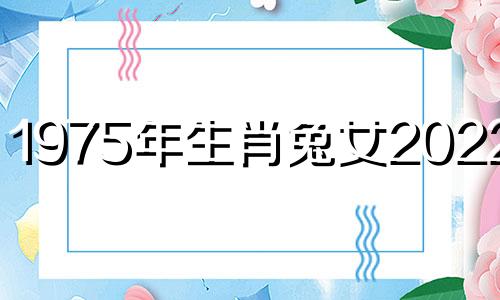 1975年生肖兔女2022运势 凶星干扰小心破财