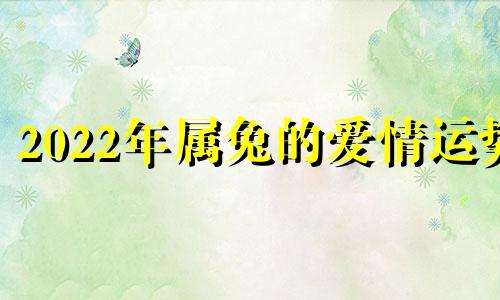 2022年属兔的爱情运势 2022年属兔感情