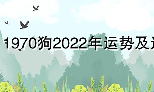 1970狗2022年运势及运程 70年狗虎年运势