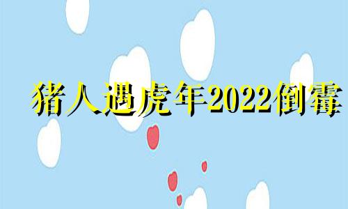 猪人遇虎年2022倒霉 猪遇虎年2021年怎么样