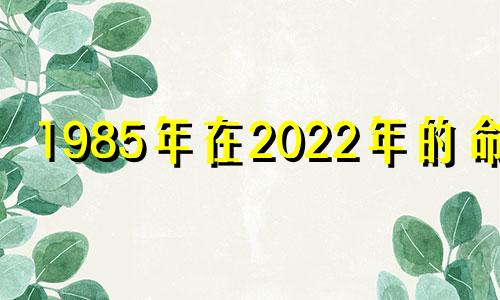 1985年在2022年的命运 