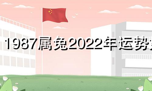 1987属兔2022年运势如何 1987属兔人2022年全年运势