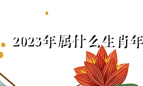 2023年属什么生肖年 2022年属什么生肖年是什么年