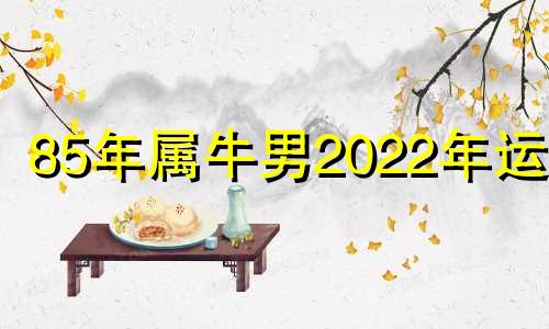 85年属牛男2022年运势 正财收入上涨