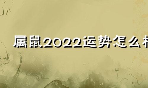 属鼠2022运势怎么样 属鼠2022年运势大全