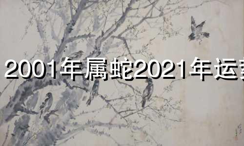 2001年属蛇2021年运势男 2001年属蛇人2022年运势运程