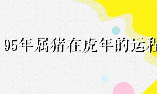 95年属猪在虎年的运程 27岁属猪人运势平平