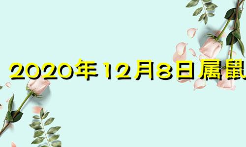 2020年12月8日属鼠运势 2020年12月8日属相