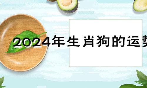 2024年生肖狗的运势 生肖狗的运势大全