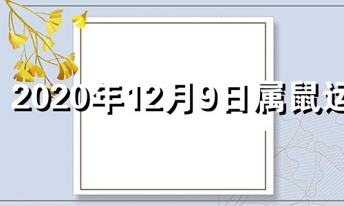 2020年12月9日属鼠运势 2021年12月9日运势