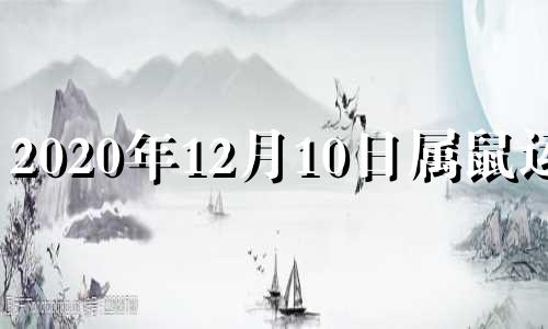 2020年12月10日属鼠运势 2021年12月10日生肖运势