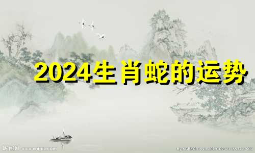 2024生肖蛇的运势 生肖蛇的运势2023