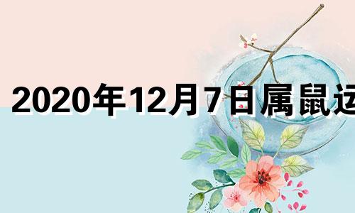 2020年12月7日属鼠运势 2020年12月7日特吉生肖运势